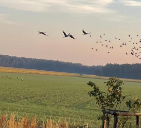 Ferienhaus Naturblick